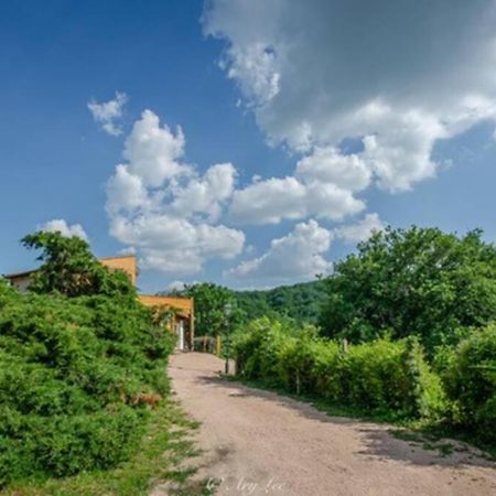 Gite Du Mont Plaisir Villa Chouvigny ภายนอก รูปภาพ