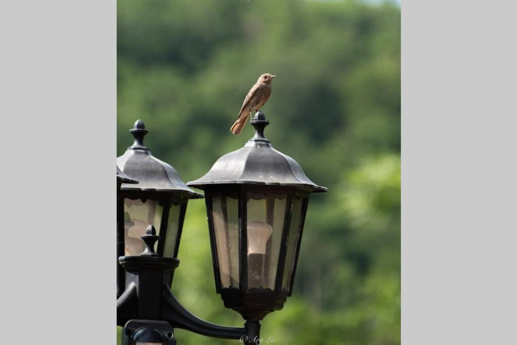 Gite Du Mont Plaisir Villa Chouvigny ภายนอก รูปภาพ