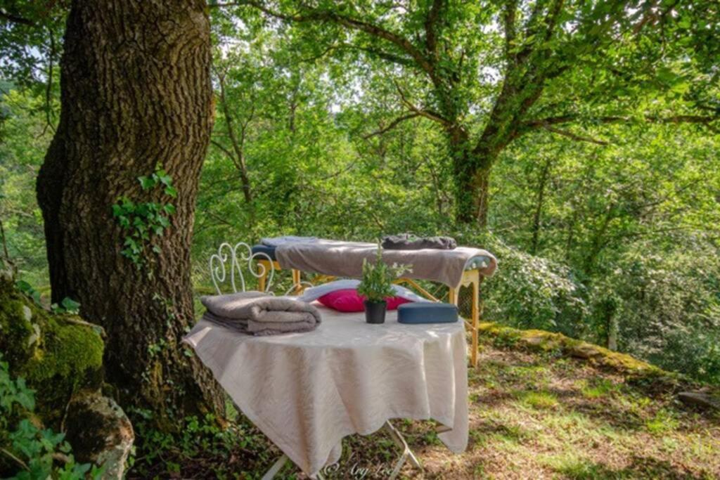 Gite Du Mont Plaisir Villa Chouvigny ภายนอก รูปภาพ